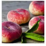 نهال پیوندی هلو انجیری زعفرانی دو ساله