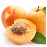 نهال پیوندی زردآلو انبه ای در نهالستان ساقه طلا.ارسال پس کرایه.حداقل ارسال 4عدد