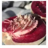 نهال هلو خونی پیوندی دو ساله