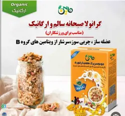 گرانولا ورزشکاری