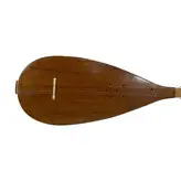 تنبور سروش رضوی