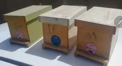 کندوچه طرح ایتالیایی درجه ۱