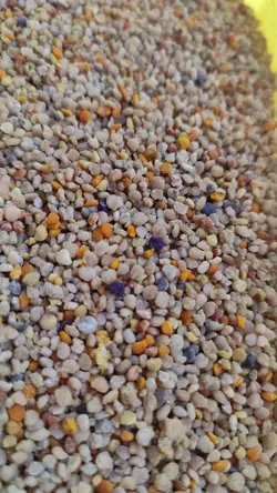 گرده گل۱۰۰۰گرمی (نارینا)
