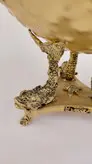 آجیل خوری سیاه قلم ماهی
