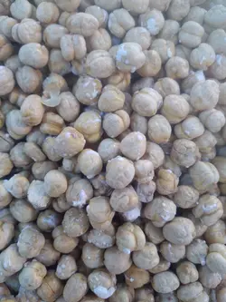 نخود ۲ اتیشه