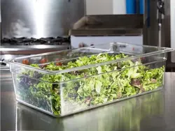 بن ماری 1/1 عمق 15 پلی کربنات با درب