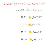 تی شرت دخترانه اچ اند ام طرح گربه