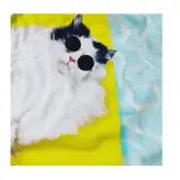 تونیک دخترانه اچ اند ام مدل گربه