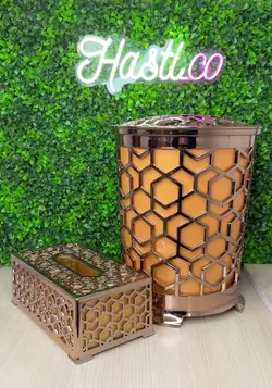 سطل و جادستمال کاغذی مدرن آبکاری