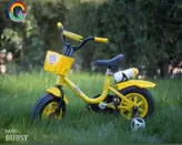 دوچرخه ۱۲ بابزی