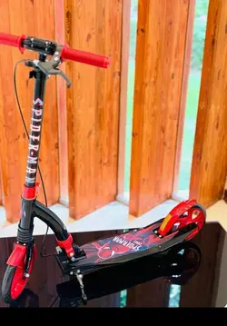 اسکوتر حرفه ای بزرگسال ۲۰۰ کیلو جی باک