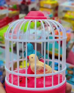 پرنده موزیکال شارژی