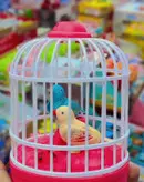 پرنده موزیکال شارژی