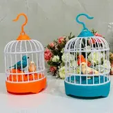 پرنده موزیکال سخنگو شارژی ضبط صدا اسباب بازی قفس بلبل طوطی آواز خوان مدل BIRD CAGE MUSICAL
