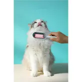 شانه و پرزگیر گربه و سگ مدل rex
