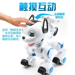 سگ کنترلی خیلی بزرگ