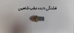 سنسور ( فشنگی ) دنده عقب شاهین