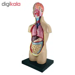 بازی آموزشی طرح مولاژ آناتومی بدن انسان مدل 4040