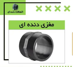 مغزی دنده ای