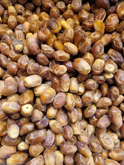 خرید و قیمت خرما زاهدی درجه 1