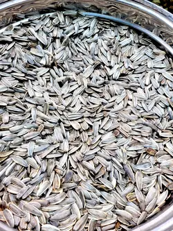 خرید و قیمت تخمه آفتابگردان دور سفید بی نمک درجه یک اردبیل نیم کیلویی