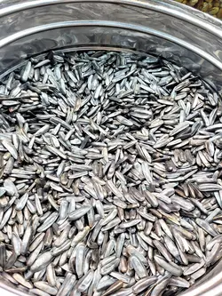 خرید و قیمت تخمه آفتابگردان تخمه سیاه بی نمک درجه یک اردبیل نیم کیلویی