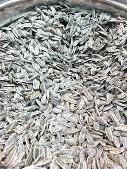 خرید و قیمت تخمه آفتابگردان دور سفید شور درجه یک اردبیل نیم کیلویی