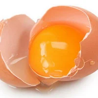 خرید و قیمت تخم مرغ محلی اردبیل