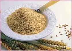 خرید پودر جوانه گندم خیلی ارزان قیمت
