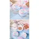 پک 6 عددی کوشن چافول CHAFFUL LIGHT MIST AIR BEAUTY CUSHION BB CREAM