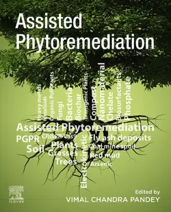 دانلود کتاب Assisted Phytoremediation: Potential Tools to Enhance Plant Performance 2021