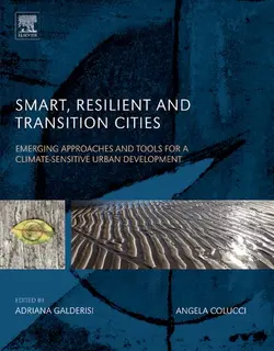 دانلود کتاب Smart, Resilient and Transition Cities: Emerging Approaches and Tools for A Climate-Sensitive Urban Development [1&nbsp;ed.]