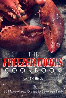 دانلود کتاب The Freezer Meals Cookbook: 30 Make-Ahead Dishes to Save You Time 2018