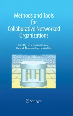 دانلود کتاب Methods and Tools for Collaborative Networked Organizations ویرایش 1