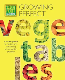 دانلود کتاب Square Foot Gardening: Growing Perfect Vegetables: A Visual Guide to Raising and Harvesting Prime Garden Produce 2017