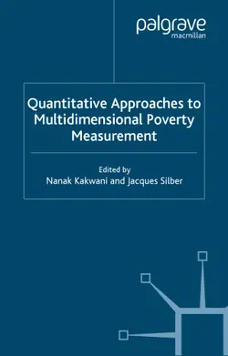 دانلود کتاب Quantitative Approaches to Multidimensional Poverty Measurement First Edition