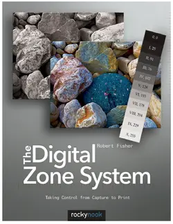 دانلود کتاب The digital zone system : taking control from capture to print 1st ed