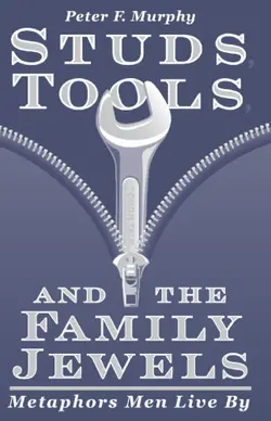 دانلود کتاب Studs, Tools, and the Family Jewels: Metaphors Men Live By ویرایش 1