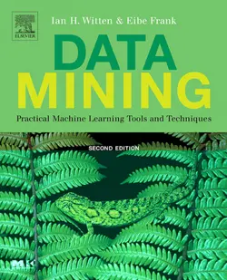 دانلود کتاب Data Mining: Practical Machine Learning Tools and Techniques ویرایش 2