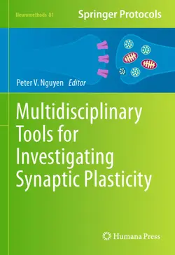 دانلود کتاب Multidisciplinary Tools for Investigating Synaptic Plasticity ویرایش 1