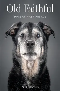 دانلود کتاب Old faithful: dogs of a certain age