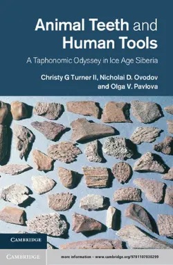 دانلود کتاب Animal Teeth and Human Tools. A Taphonomic Odyssey in Ice Age Siberia 2013