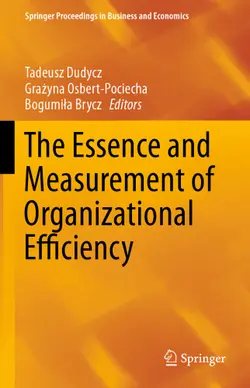 دانلود کتاب The Essence and Measurement of Organizational Efficiency ویرایش 1