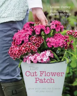 دانلود کتاب The cut flower patch : grow your own cut flowers all year round First Frances Lincoln edition