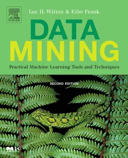 دانلود کتاب Data Mining: Practical Machine Learning Tools and Techniques ویرایش 2