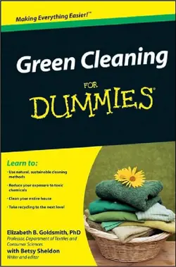 دانلود کتاب Green Cleaning For Dummies Original