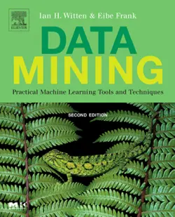 دانلود کتاب Data mining: practical machine learning tools and techniques ویرایش 2
