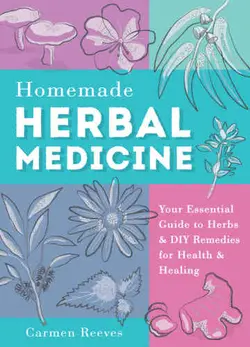 دانلود کتاب Homemade herbal medicine : your essential guide to herbs & DIY remedies for health & healing 2015