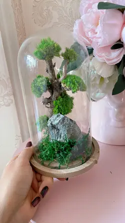 تراریوم درخچه جاودان