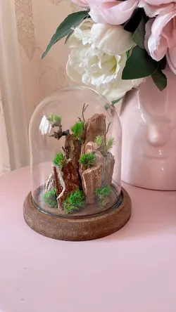 تراریوم درخچه جاودان